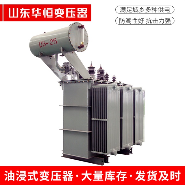 S11-10000/35泌阳泌阳泌阳电力变压器厂家